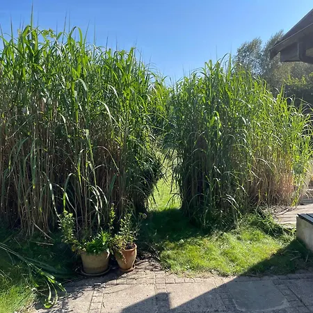 Lovely Enveloped In Surroundings * Ebeltoft