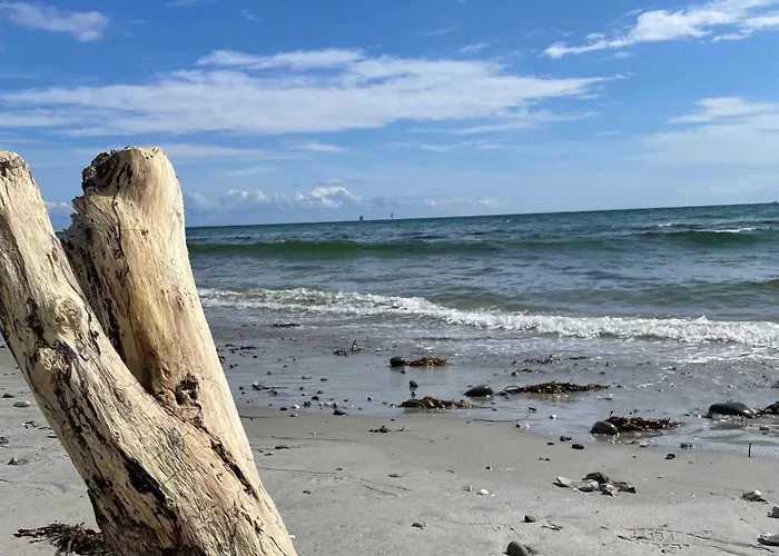 Lovely Enveloped In Surroundings Ebeltoft