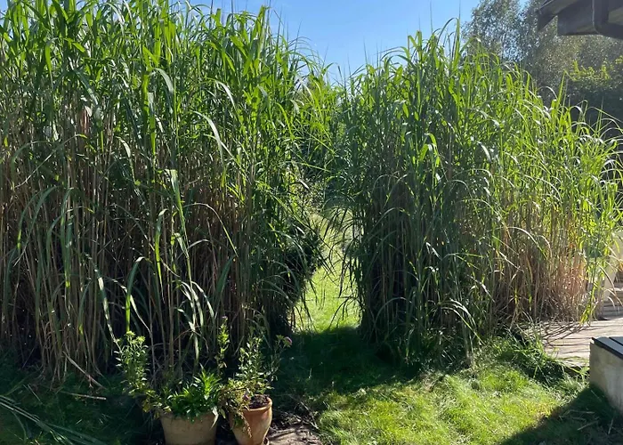 Сasa de vacaciones Lovely Enveloped In Surroundings